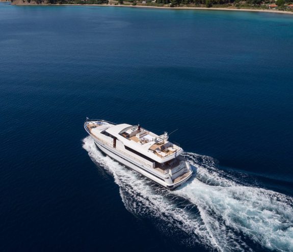 The Bird 378 1000X800