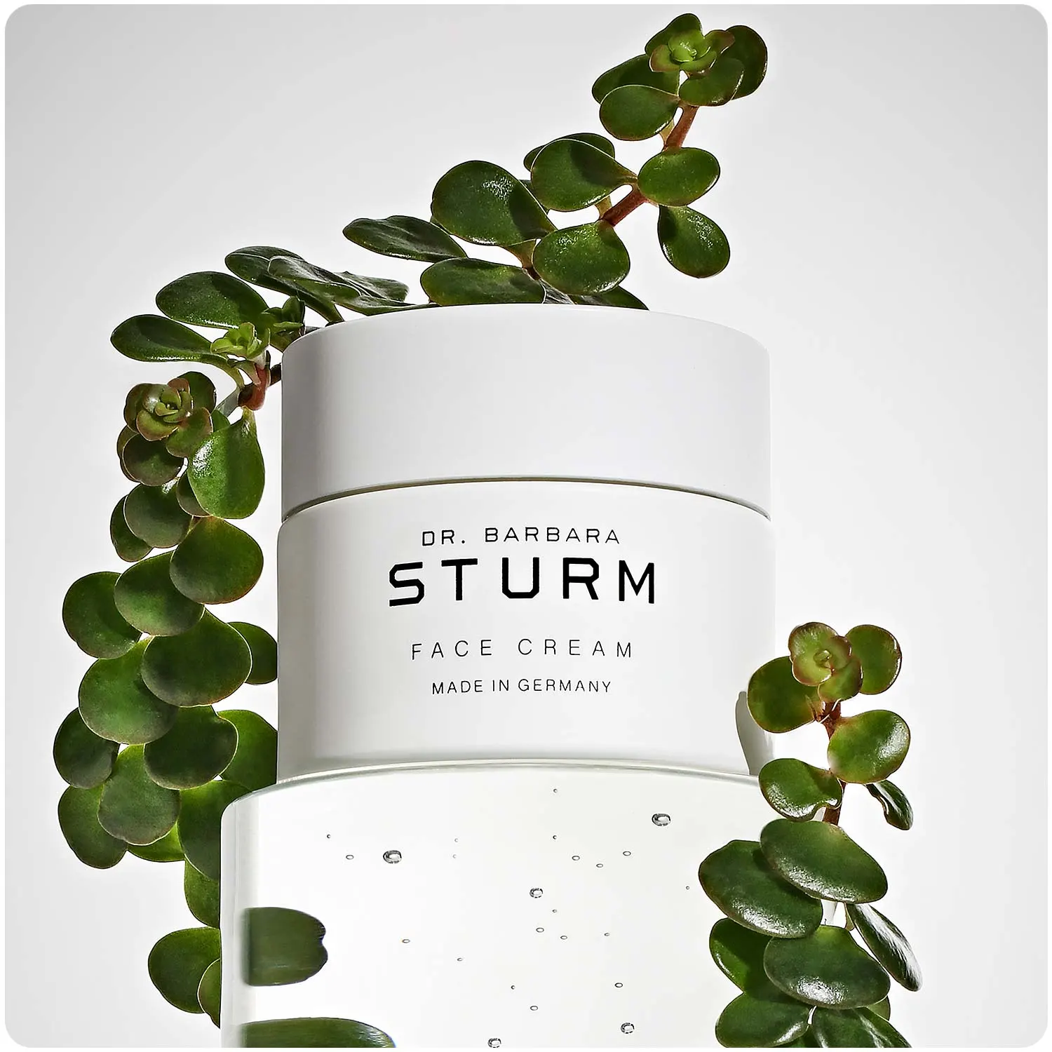 Dr. Barbara Sturm Face Cream jar, made in Germany, surrounded by green succulent leaves