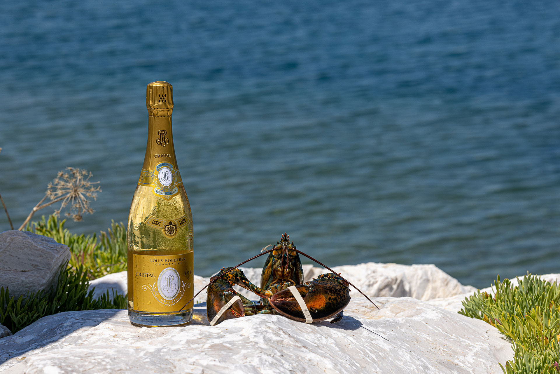 Bottle of Louis Roederer Cristal champagne and a lobster displayed on seaside rocks