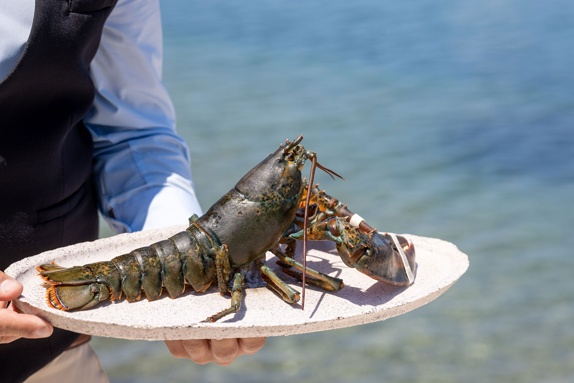 Waiter presenting a fresh lobster on a ceramic plate by the sea