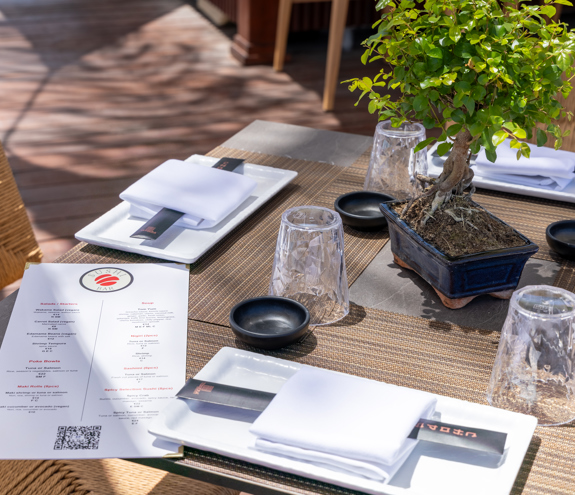 Close-up of elegant sushi bar table setup with bonsai centerpiece and menu