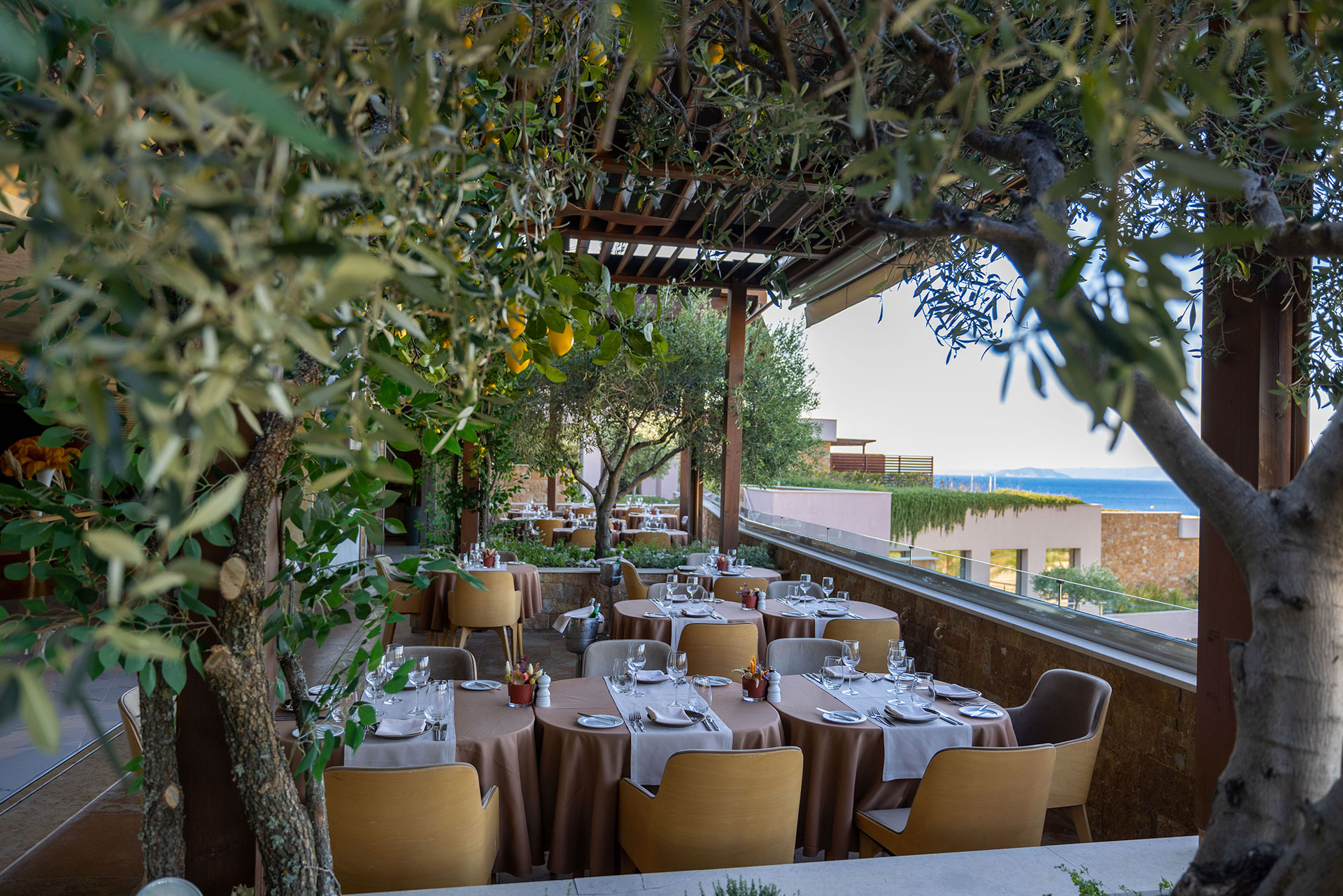 Portofino outdoor sitting area surrounded by olive trees and sea view in the background