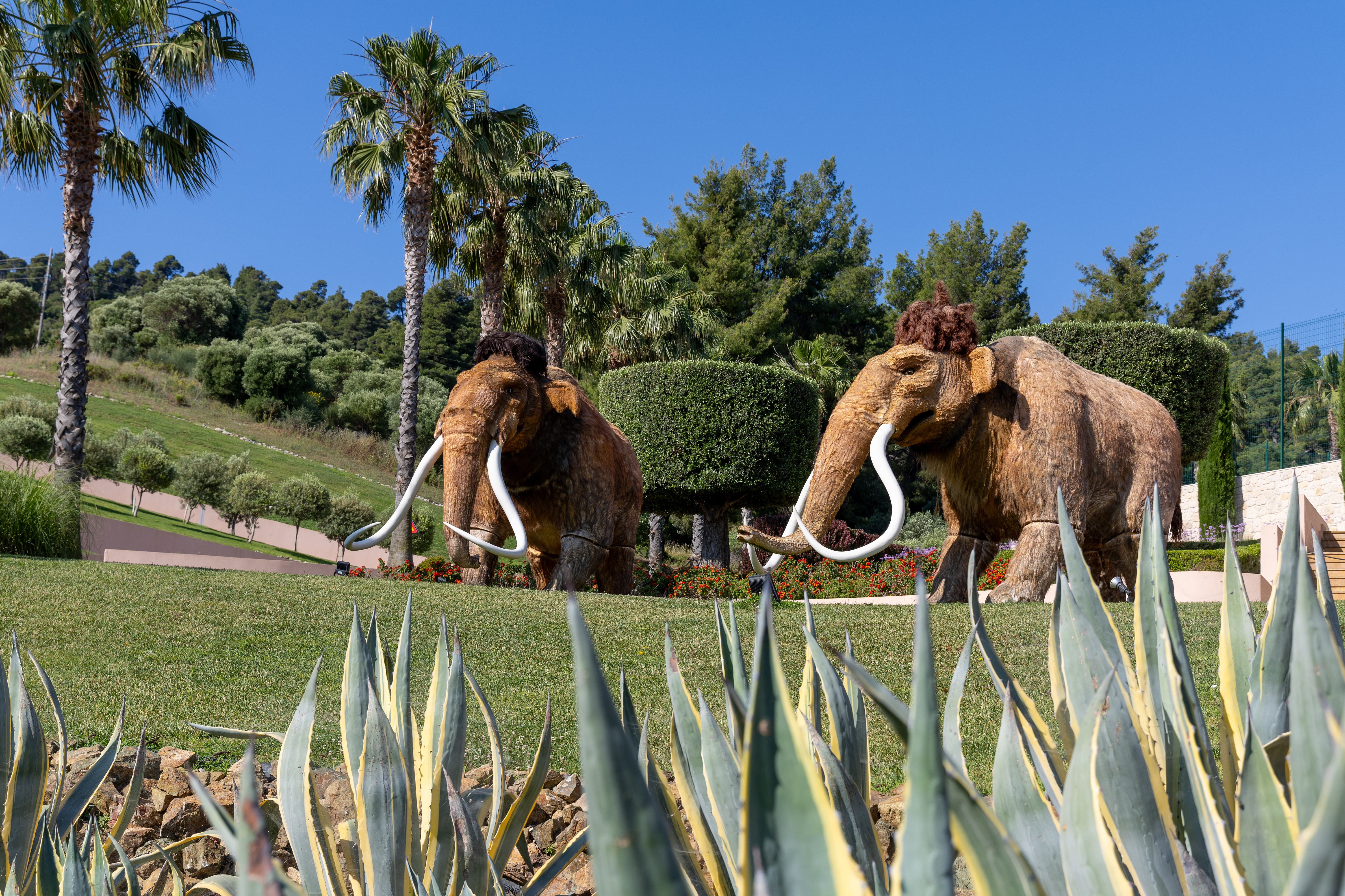 Life-sized wooly mammoth sculptures surrounded by palm trees and greenery