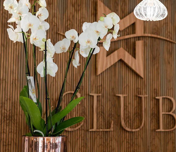Miraggio reception decoration