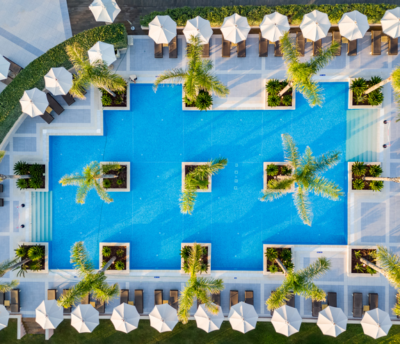 Top down aerial view of the rectangular swimming pool surrounded by palm trees, sun loungers and umbrellas