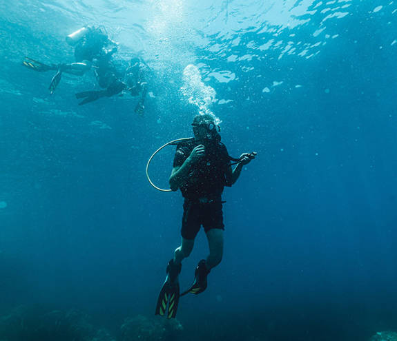 Diver in the sea