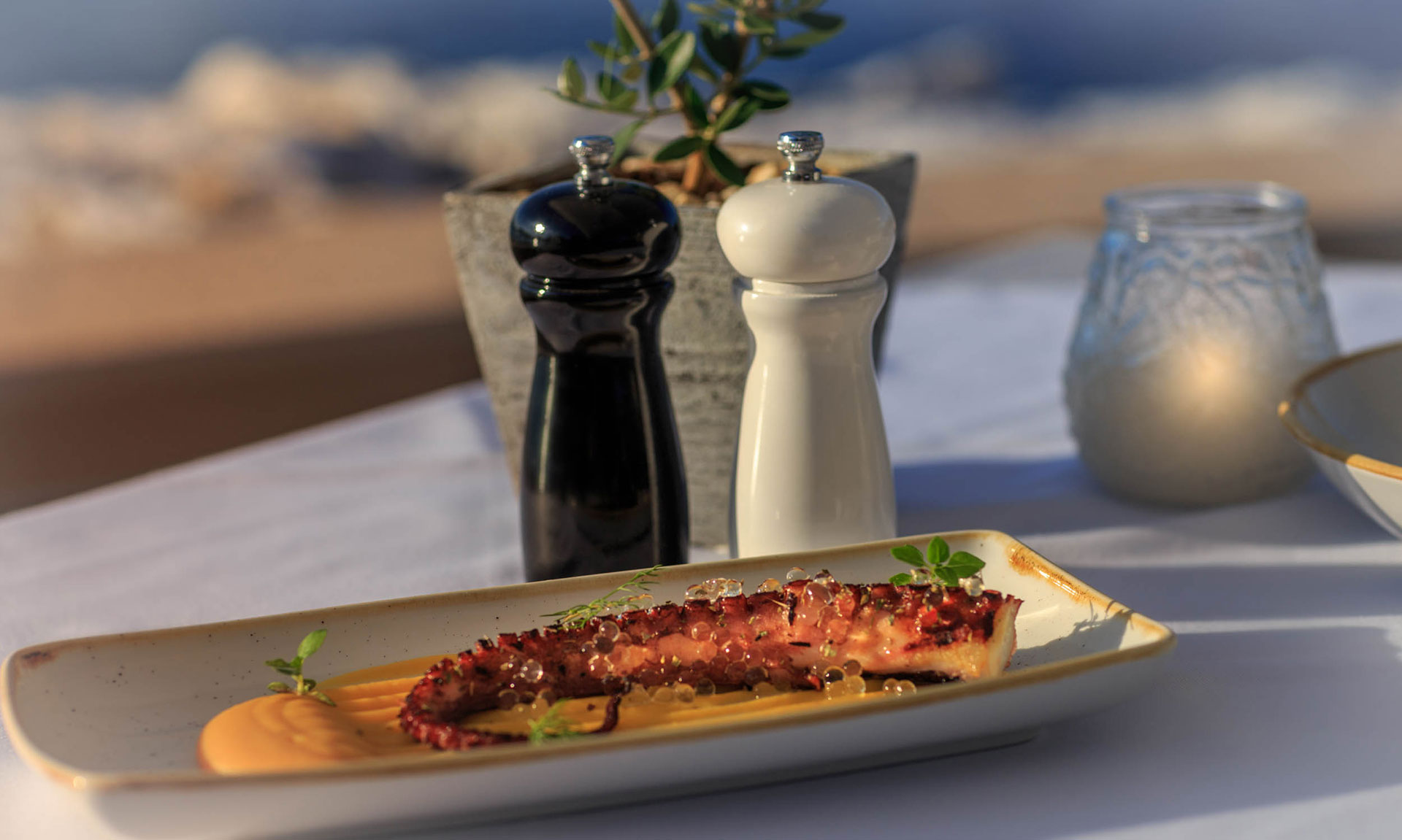 Grilled octopus with puree and garnish served on a seaside table a sunset