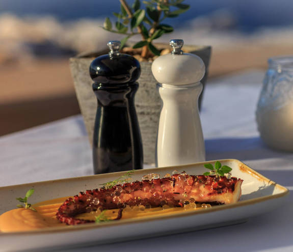 Toroneo Restaurant gourmet octopus dish