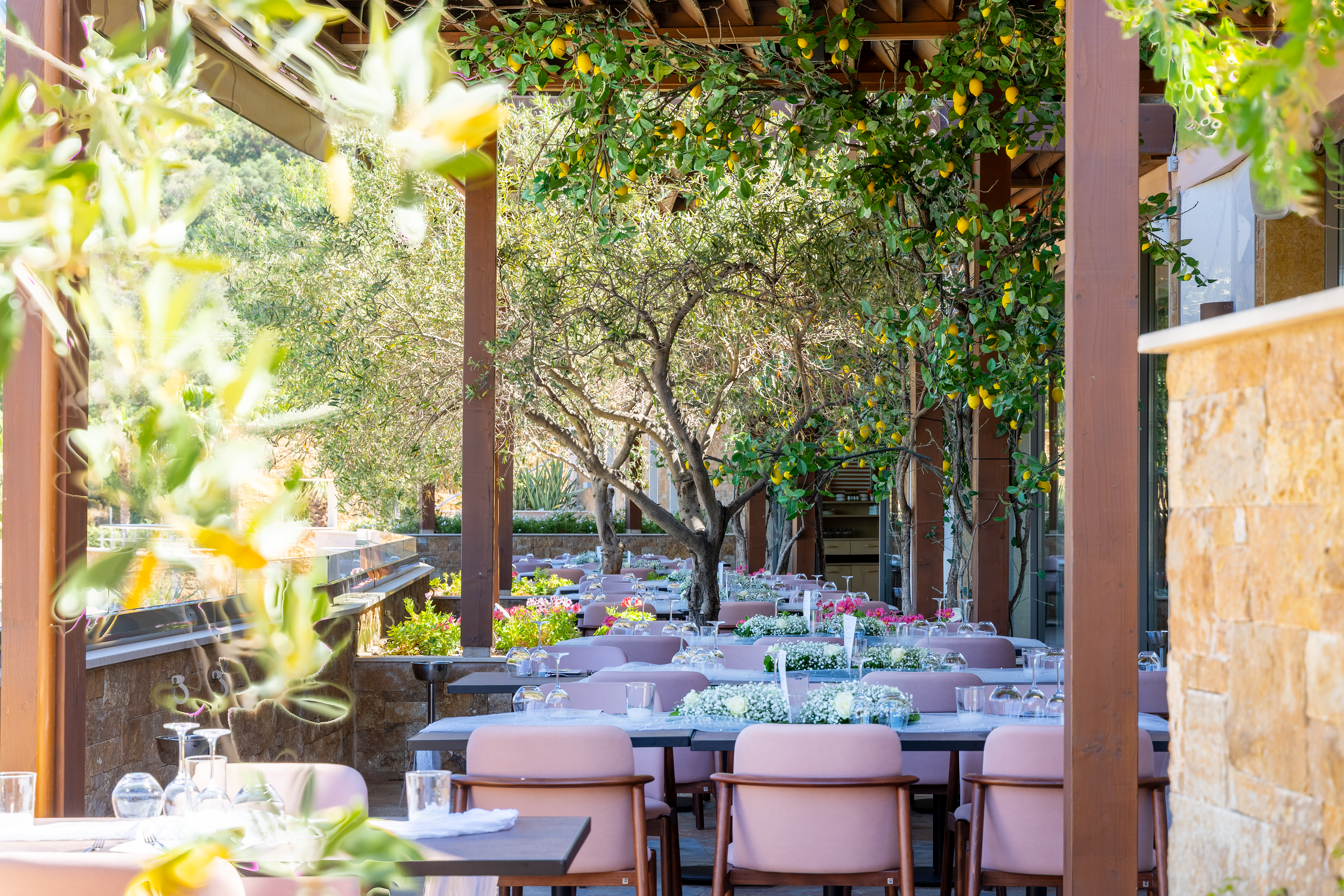Outdoor restaurant terrace decorated with flowers and lemon trees