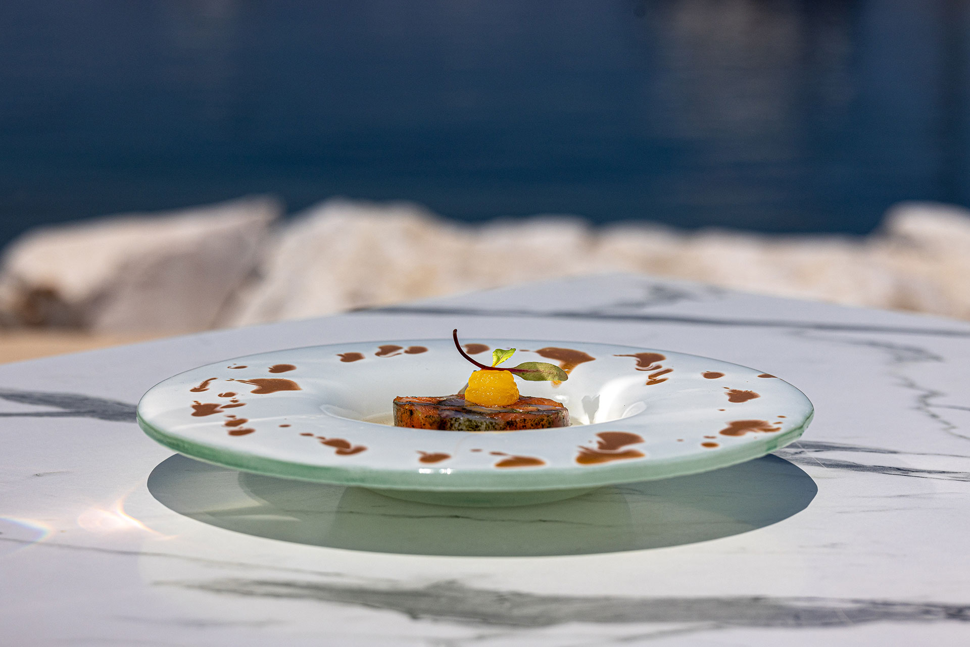 Elegant gourmet dish with artistic sauce presentation and sea view background