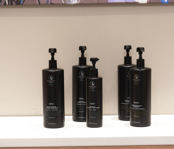 Awapuhi Wild Ginger professional hair repair and smooth products