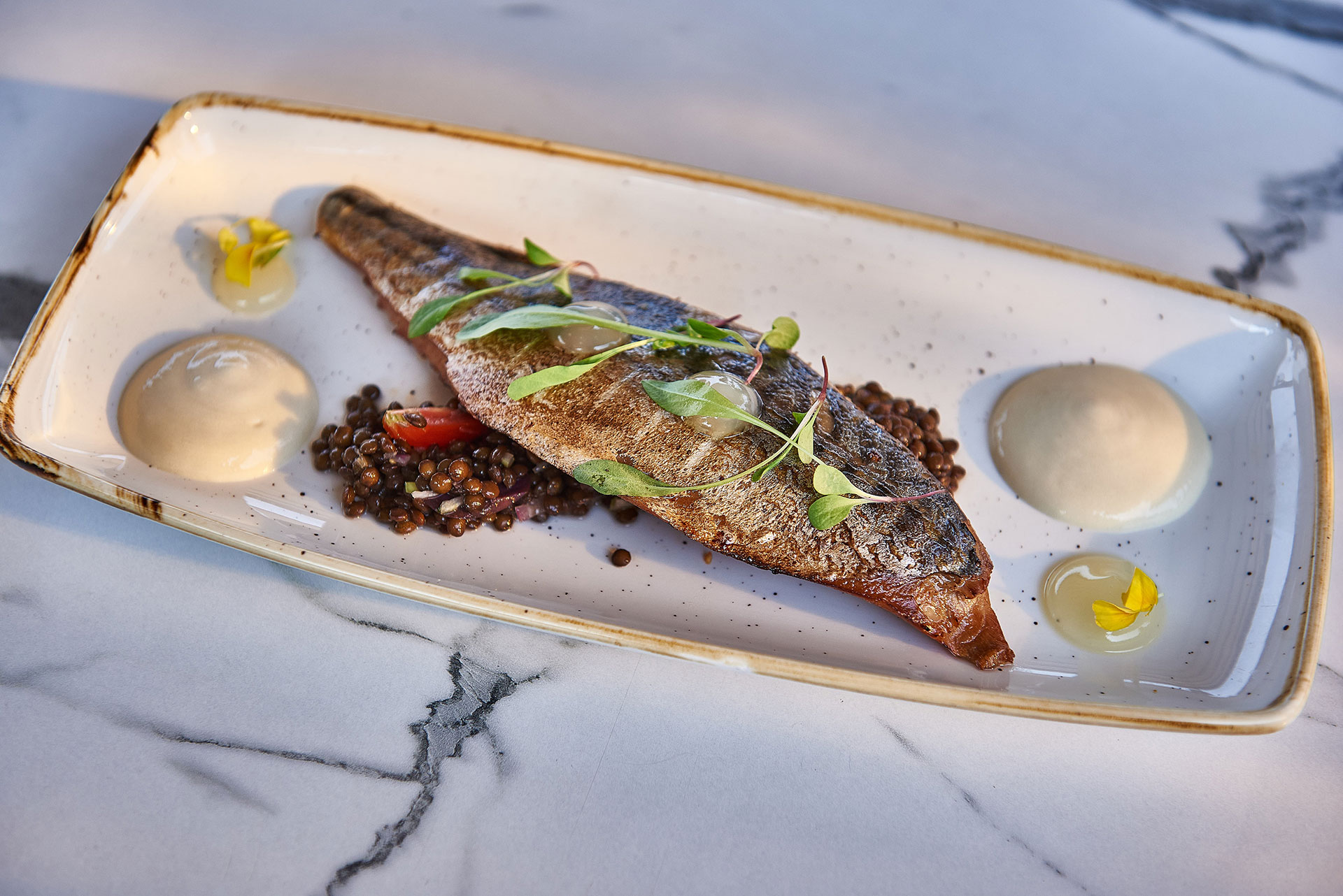 Grilled sea bream fillet with lntills and creamy puree served on an elegant marble table