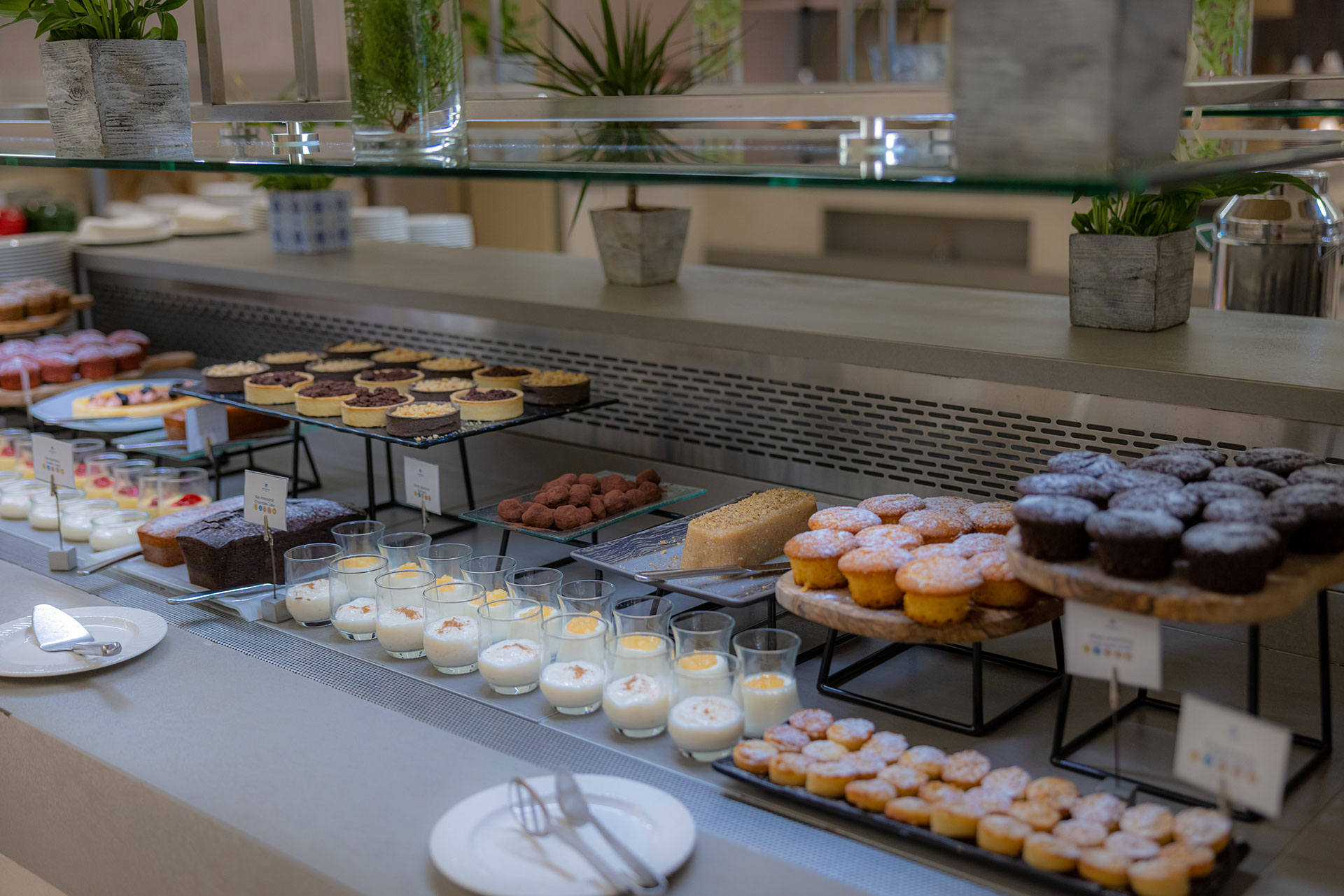 Close up to dessert buffet featuring cakes, biscuits and mouses 