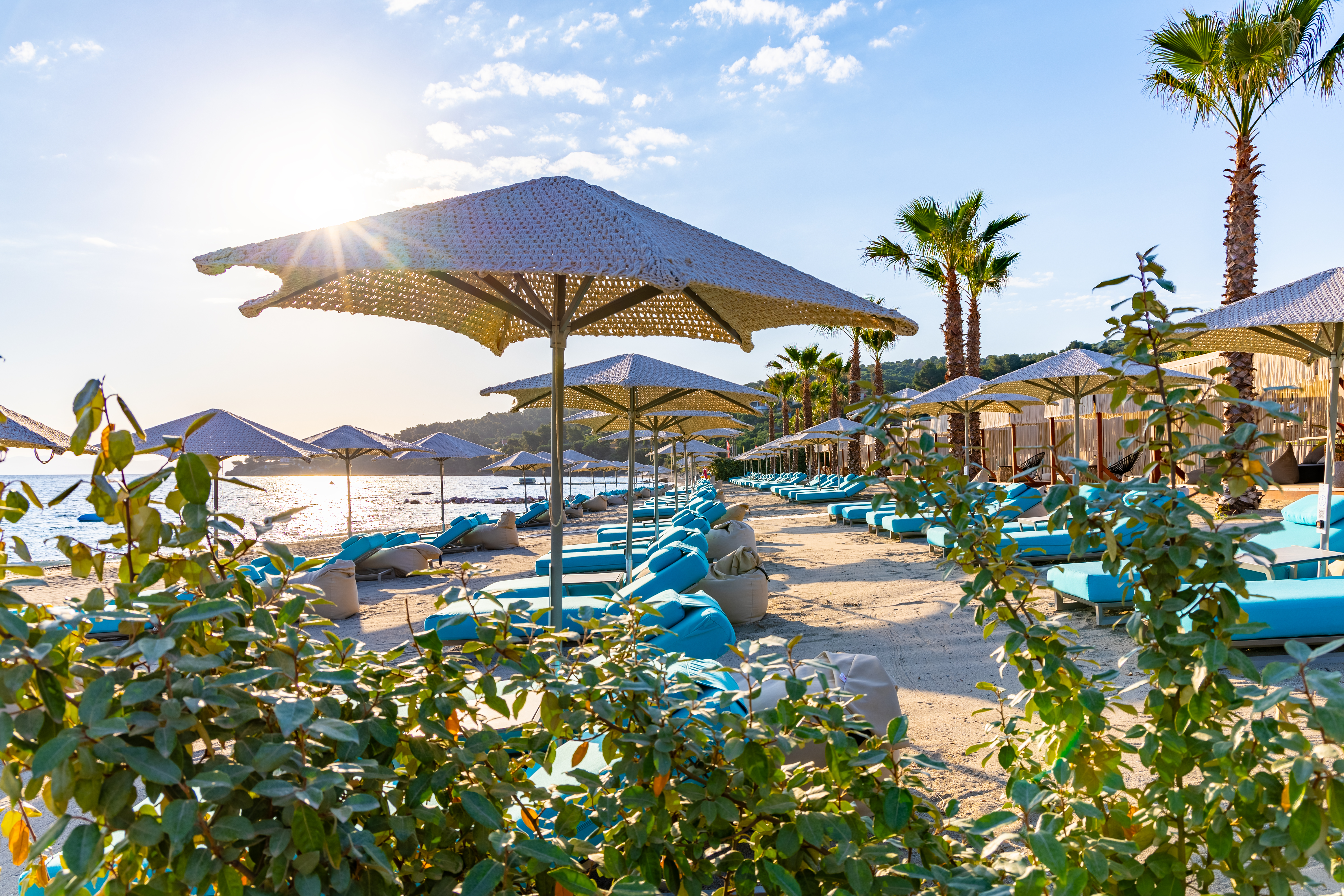 Sunny beachfront with turquoise loungers, umbrellas, and palm trees lining the sandy beach