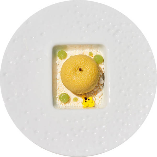 Plate2