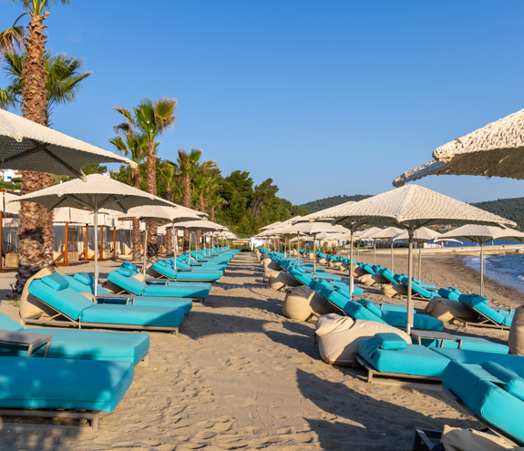 Aligned turquoise loungers and umbrellas along the sandy beach with palm trees and calm sea views