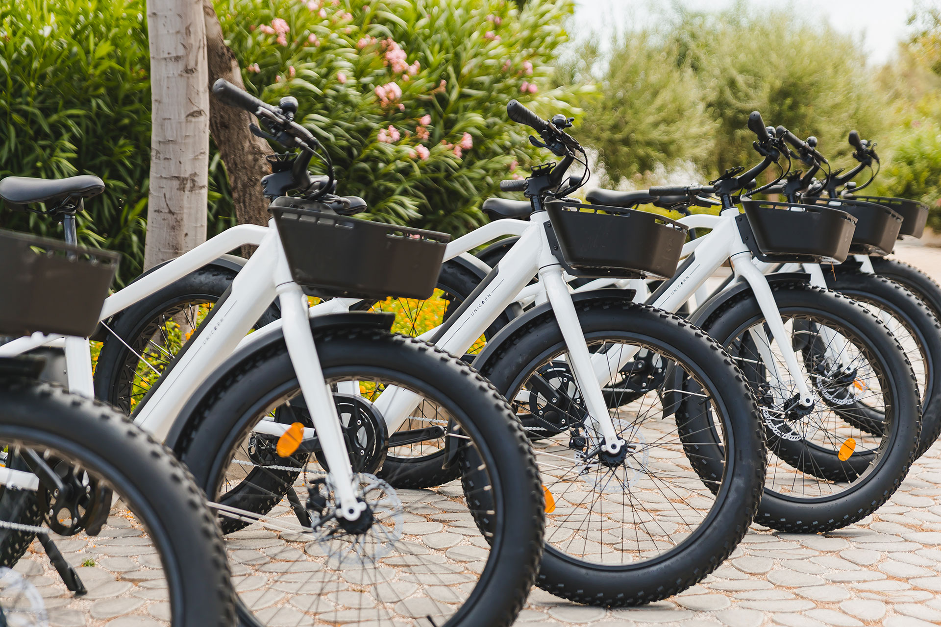 Row of modern white electric bicycles ready for cycling adventures
