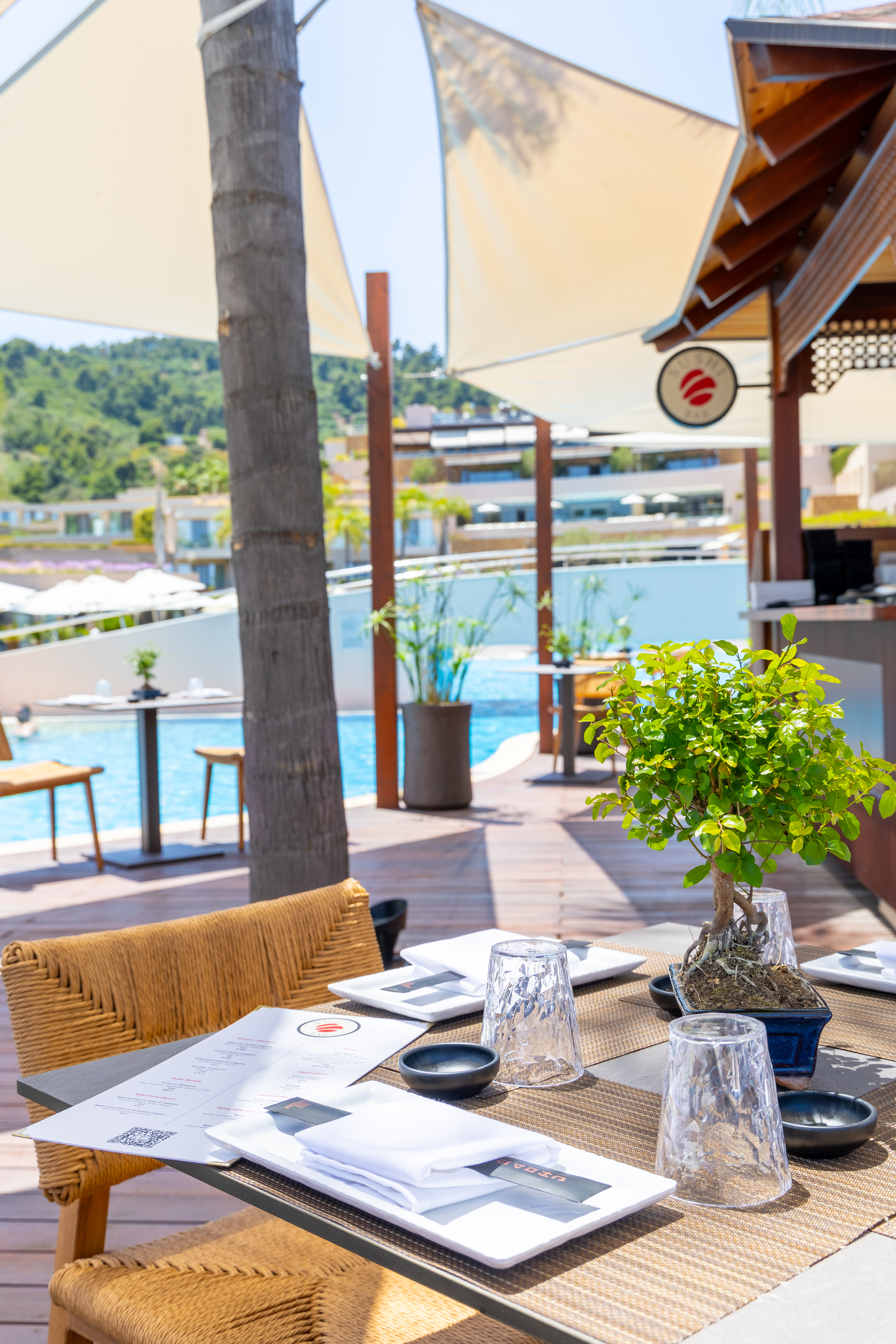 Poolside dining table with menus, glassware, and bonsai centerpiece under sushades
