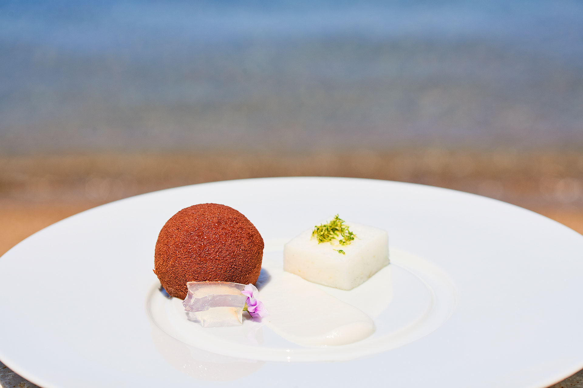 Elegant dessert with chocolate sphere, coconut mousse, and lime garnish by the sea