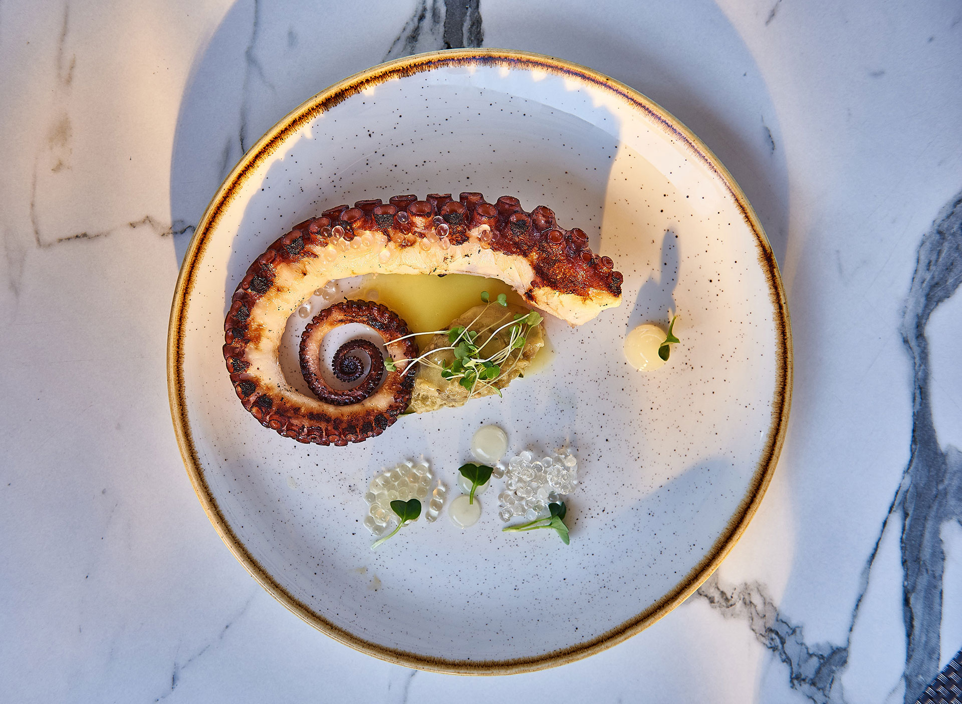 Grilled octopus with fava puree and microgreens presented on a marble table